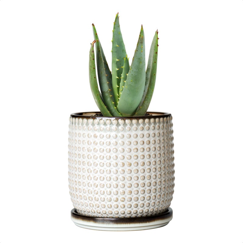 D'vine Dev 4 Inch Ceramic Beaded Stoneware Planter Pot - Flower Pot with Drainage Holes and Saucers for Indoor Succulent Plants or Flowers, Smoked White, 27-C-Z-1 - Image 1